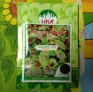 รูปภาพของ Hạt giống rau dền khoang
