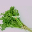 รูปภาพของ Hạt giống rau Mùi Tía (Ngò Rí)