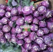 Picture of Hạt giống Củ Su Hào (Xu Hào) tím