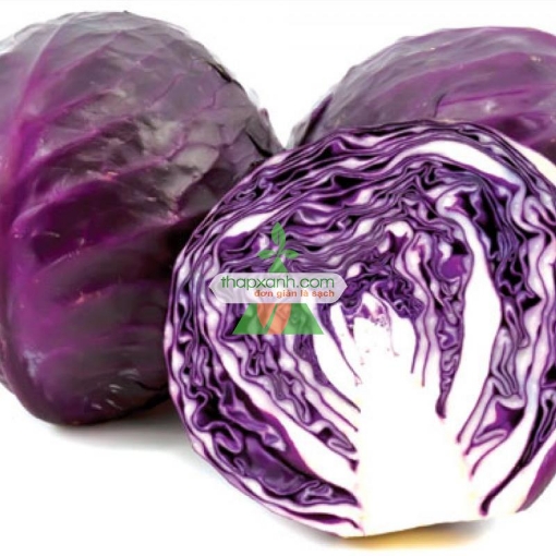 Ảnh của Hạt giống Bắp cải tím (Việt Nam)