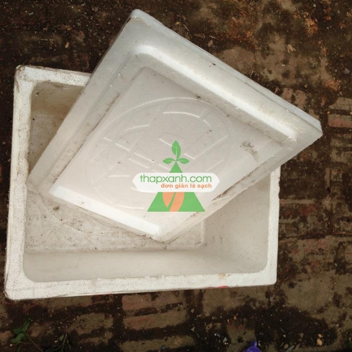 Ảnh của Thùng xốp trồng rau