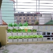 Ảnh của Vườn rau ban công