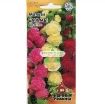 Gambar Hạt giống Hoa Mãn Đình Hồng mix