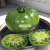 รูปภาพของ Hạt giống Cà Chua xanh