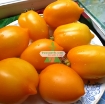 图片 Hạt giống Cà Chua vàng (Cà Chua Chanh)