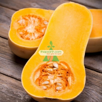 Ảnh của Hạt giống Bí Ngô hồ lô