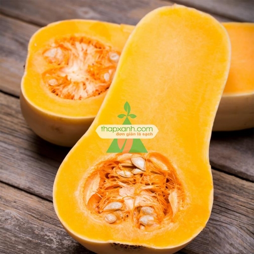 Picture of Hạt giống Bí Ngô hồ lô