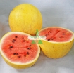 Gambar Hạt giống Dưa Hấu vàng ruột đỏ