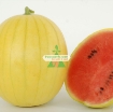 Gambar Hạt giống Dưa Hấu vàng ruột đỏ