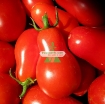 รูปภาพของ Hạt giống Cà Chua Bi trái lê (đỏ)