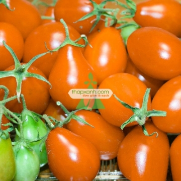 Ảnh của Hạt giống Cà Chua Bi trái lê (cam)