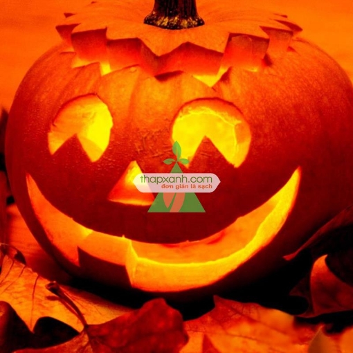 รูปภาพของ Hạt giống Bí Ngô Jolly (Bí Ngô Đường)