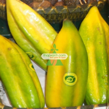 Ảnh của Hạt giống Đu Đủ Nam Mỹ