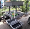 รูปภาพของ Kệ Trồng rau 3 tầng 6 chậu