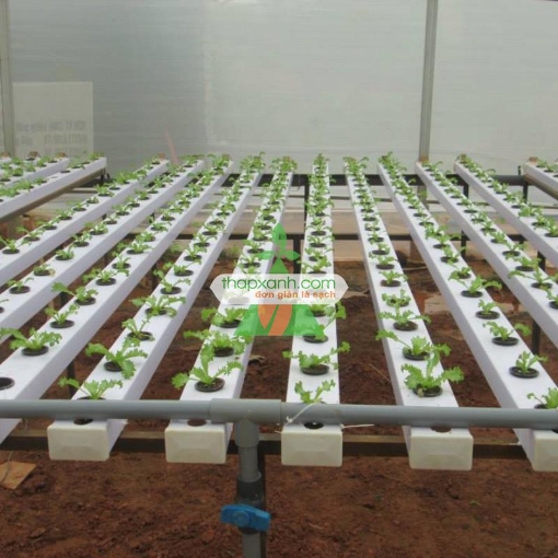 รูปภาพของ Ống PVC vuông chuyên dụng thủy canh (trắng)