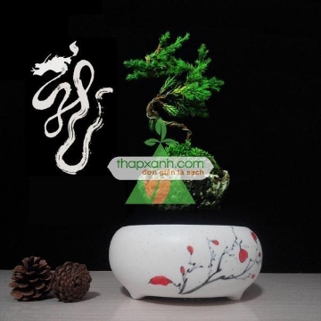 Ảnh của Chậu cây bay (Air bonsai) (sứ, TX_AB002)