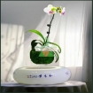图片 Chậu cây bay (Air bonsai) (sứ, TX_AB003)