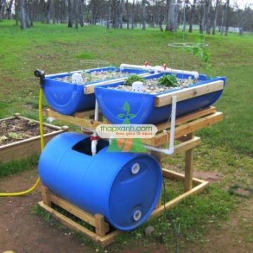 Ảnh của Bộ Aquaponics đôi AQ-TX02