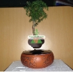 รูปภาพของ Chậu cây bay (Air bonsai) (sứ, TX_AB006)