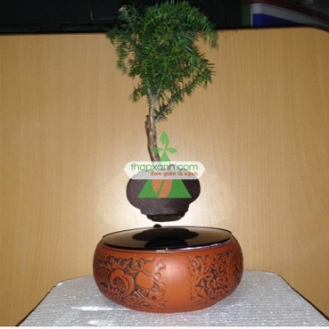 Ảnh của Chậu cây bay (Air bonsai) (sứ, TX_AB006)