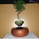 รูปภาพของ Chậu cây bay (Air bonsai) (sứ, TX_AB006)