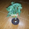 รูปภาพของ Chậu cây bay (Air bonsai) (sứ, TX_AB006)