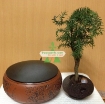 รูปภาพของ Chậu cây bay (Air bonsai) (sứ, TX_AB006)