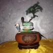 图片 Chậu cây bay (Air bonsai) (sứ, TX_AB010)