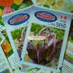รูปภาพของ Hạt giống rau Xà Lách Romaine Đỏ