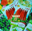 图片 Hạt giống Đậu Bắp Đỏ (Mướp tây)