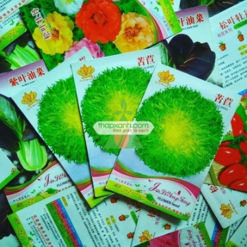 รูปภาพของ Hạt giống rau Xà Lách Hoàng Đế