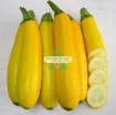 Ảnh của Hạt giống Bí Ngồi Vàng