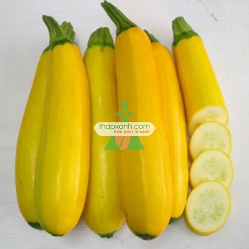 Ảnh của Hạt giống Bí Ngồi Vàng
