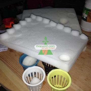 Ảnh của Mút xốp ươm hạt (d32 x h32)