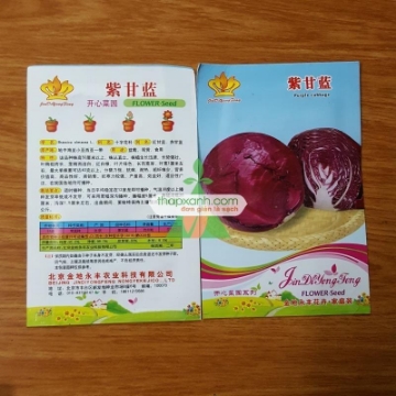 Ảnh của Hạt giống Bắp cải tím (TQ)