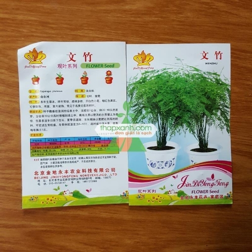 Gambar Hạt giống Măng Tây xanh (TQ)