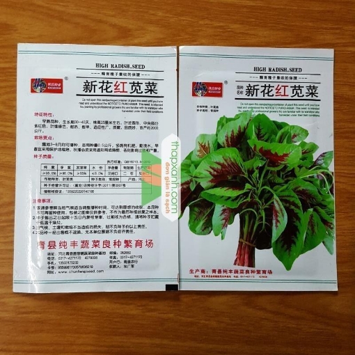 Gambar  Hạt giống rau dền khoang (TQ)