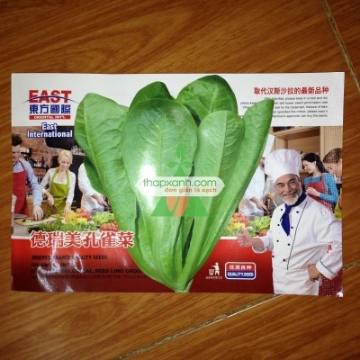 Ảnh của Hạt giống rau Xà Lách Romaine Xanh