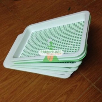 Ảnh của Khay trồng rau mầm thủy canh (xanh)