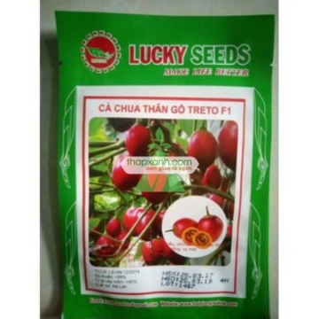รูปภาพของ Hạt Giống Cà Chua Thân Gỗ Treto F1
