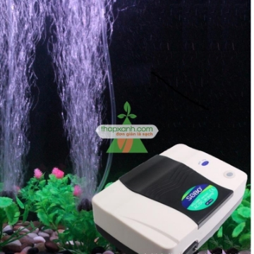 Ảnh của Máy sục khí lưu điện SP-1000 (Máy thổi ô xy)