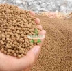 Ảnh của Thức ăn cho cá (dạng viên)