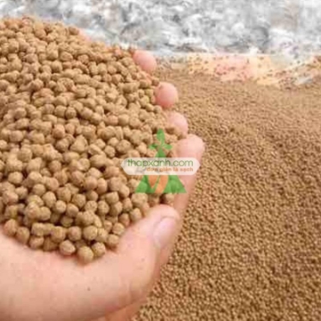 Ảnh của Thức ăn cho cá (dạng viên)