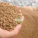 Ảnh của Thức ăn cho cá (dạng viên)