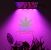 图片 Đèn Led trồng cây đủ phổ GC-45W, Đèn led hỗ trợ trồng cây trong nhà, Led grow light