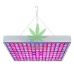 图片 Đèn Led trồng cây đủ phổ GC-45W, Đèn led hỗ trợ trồng cây trong nhà, Led grow light