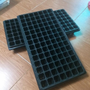 Hình ảnh cho danh mục Vỉ ươm, Khay ươm