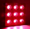 รูปภาพของ Đèn Led trồng cây đủ phổ COB-9, Đèn led hỗ trợ trồng cây trong nhà, Led grow light