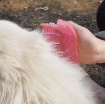 图片 Dụng cụ chải lông Pet (chó mèo), găng tay chải gãi lông chó mèo, thú cưng