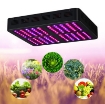 รูปภาพของ Đèn Led trồng cây GL-R1200, đèn trồng cây, led grow light (Veg, Bloom)